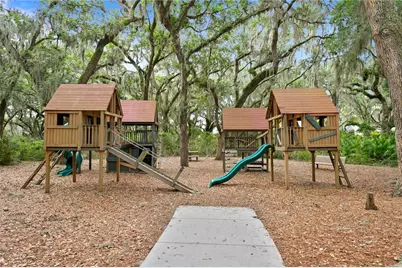 16018 Loneoak View Drive, Lithia, FL 33547 - Photo 74