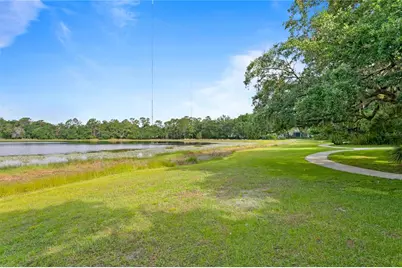 16018 Loneoak View Drive, Lithia, FL 33547 - Photo 76