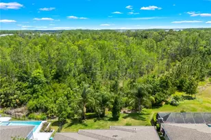 16726 Courtyard Loop, Land O Lakes, FL 34638 - Photo 76
