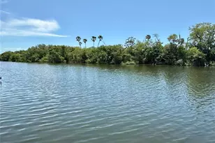 460 Mt Oak Ave NE, Saint Petersburg, FL 33702 - Photo 28