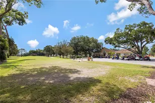 2261 Shelly Dr, Palm Harbor, FL 34684 - Photo 38