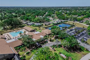 2261 Shelly Dr, Palm Harbor, FL 34684 - Photo 36