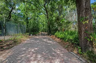 8602 Bonnie Cove Ln, Odessa, FL 33556 - Photo 10