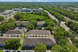 3566 High Hampton Cir, Tampa, FL 33610 - Photo 44