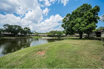 160 James Court, Oldsmar, FL 34677 - Photo 44