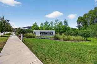 2213 Cerulean Sky Dr, Lutz, FL 33558 - Photo 60