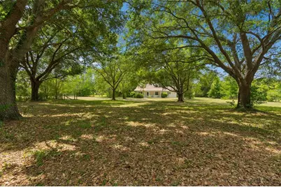 17879 Parrish Grove Road, Dade City, FL 33523 - Photo 82