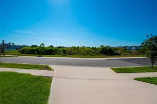 12239 Cypress Br St, Riverview, FL 33579 - Photo 48