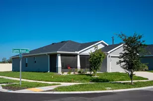 12239 Cypress Br St, Riverview, FL 33579 - Photo 4