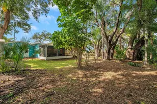 717 Carolina Ave, Tarpon Springs, FL 34689 - Photo 60