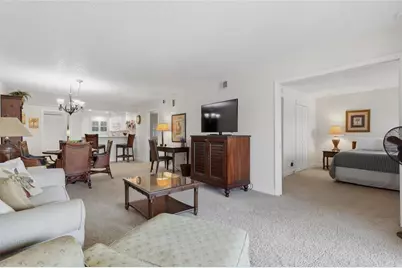 29130 Bay Hollow Drive #3312, Wesley Chapel, FL 33543 - Photo 22