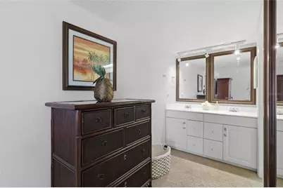 29130 Bay Hollow Drive #3312, Wesley Chapel, FL 33543 - Photo 16