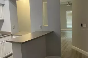402 S Armenia Ave, Tampa, FL 33609 - Photo 6