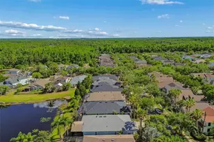 20133 Heron Crossing Dr, Tampa, FL 33647 - Photo 68