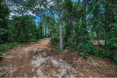 12123 Fulmar Road, Weeki Wachee, FL 34614 - Photo 72