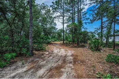 12123 Fulmar Road, Weeki Wachee, FL 34614 - Photo 68