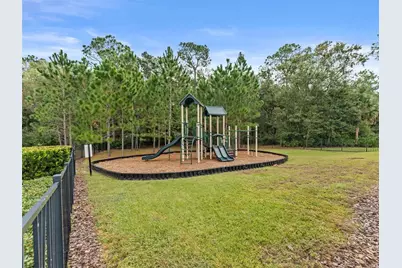 26399 Limestone Springs Way, Wesley Chapel, FL 33544 - Photo 32