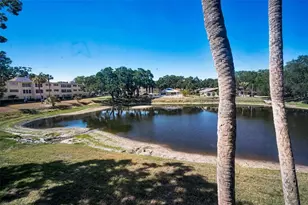 936 Virginia St, Dunedin, FL 34698 - Photo 24