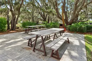 3998 Night Star Trail, Odessa, FL 33556 - Photo 36