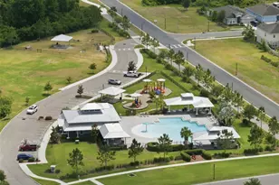 10325 Gliding Eagle Wy, Land O Lakes, FL 34638 - Photo 44