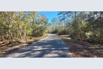0 Cherokee Drive, Sopchoppy, FL 32358 - Photo 18