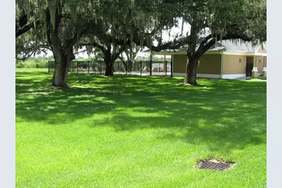 8216 Downpatrick Court, Tampa, FL 33610 - Photo 38
