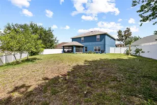 11114 Goldenrod Fern Dr, Riverview, FL 33569 - Photo 46
