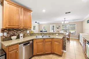 11114 Goldenrod Fern Dr, Riverview, FL 33569 - Photo 8