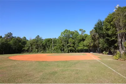 14743 Heronglen Drive, Lithia, FL 33547 - Photo 40