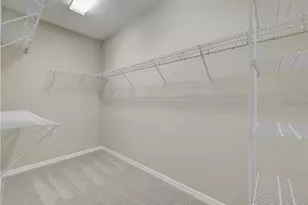 1074 Amber Leaf Trl, Wesley Chapel, FL 33544 - Photo 18