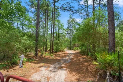 9031 N Manila Terrace, Dunnellon, FL 34433 - Photo 8