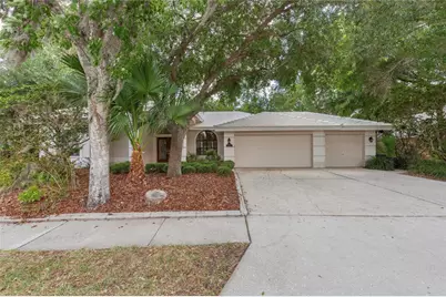 50 Kelleys Trail, Oldsmar, FL 34677 - Photo 2