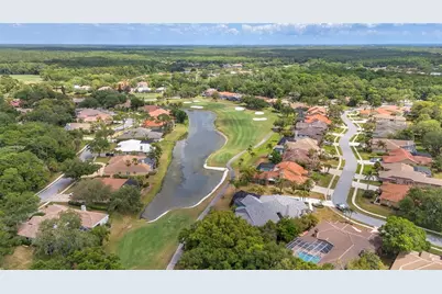 50 Kelleys Trail, Oldsmar, FL 34677 - Photo 58
