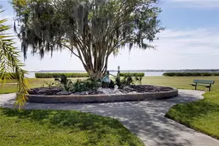 119 Brent Cir, Oldsmar, FL 34677 - Photo 60