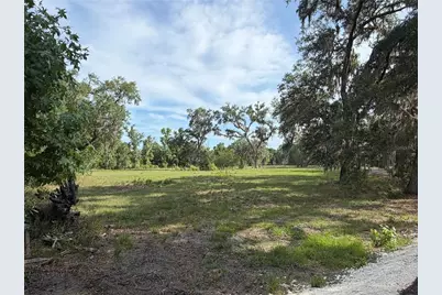 000 Palomino Lakes Dr, Dade City, FL 33523 - Photo 10