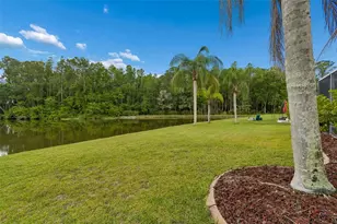 16026 Shinnecock Dr, Odessa, FL 33556 - Photo 42