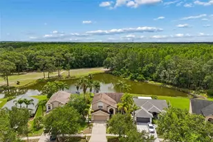 16026 Shinnecock Dr, Odessa, FL 33556 - Photo 66