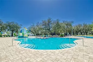 13517 Texas Sage Pl, Riverview, FL 33579 - Photo 62