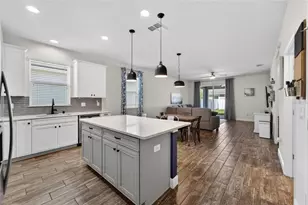 13517 Texas Sage Pl, Riverview, FL 33579 - Photo 12
