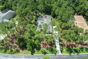 313 Pine Bluff Dr, Lutz, FL 33549 - Photo 72
