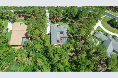 313 Pine Bluff Drive, Lutz, FL 33549 - Photo 74