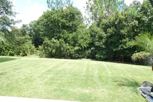 6433 Bridgecrest Dr, Lithia, FL 33547 - Photo 4
