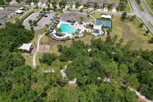17334 White Mangrove Dr, Wimauma, FL 33598 - Photo 28