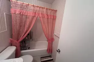 2386 Sumatran Way, Clearwater, FL 33763 - Photo 30