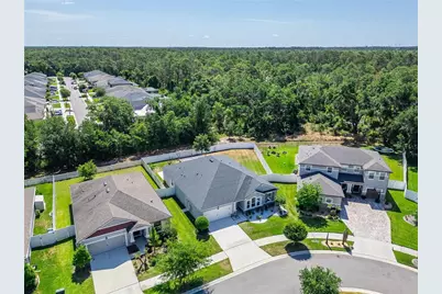 13017 Satin Lily Drive, Riverview, FL 33579 - Photo 76
