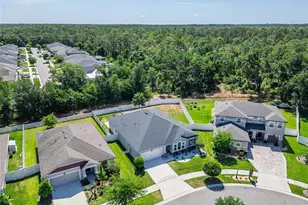 13017 Satin Lily Dr, Riverview, FL 33579 - Photo 76
