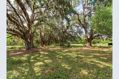 [Address not provided], Thonotosassa, FL 33592 - Photo 6