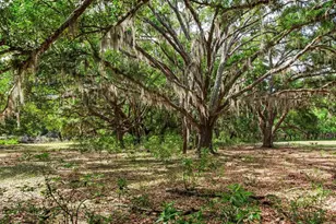 [Address not provided], Thonotosassa, FL 33592 - Photo 1