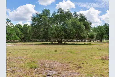 [Address not provided], Thonotosassa, FL 33592 - Photo 2