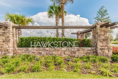 14622 Red Castle Avenue, Lithia, FL 33547 - Photo 4